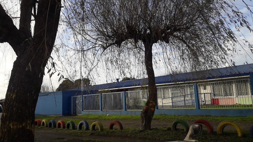jardin Infantil paso a paso