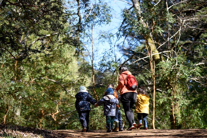 Club del Bosque Valdiviano | Jardín Infantil
