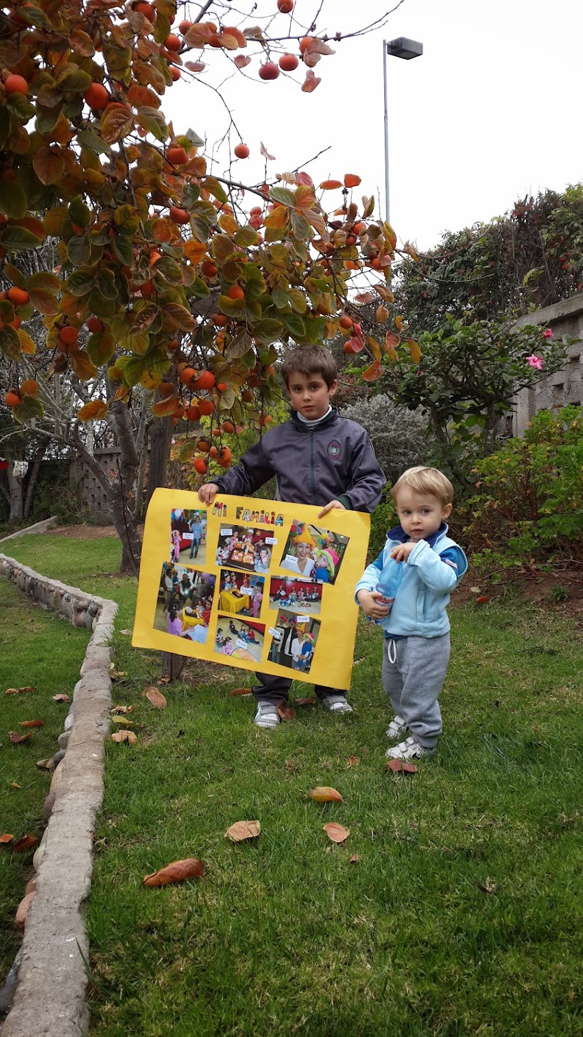 Jardín Infantil ULS