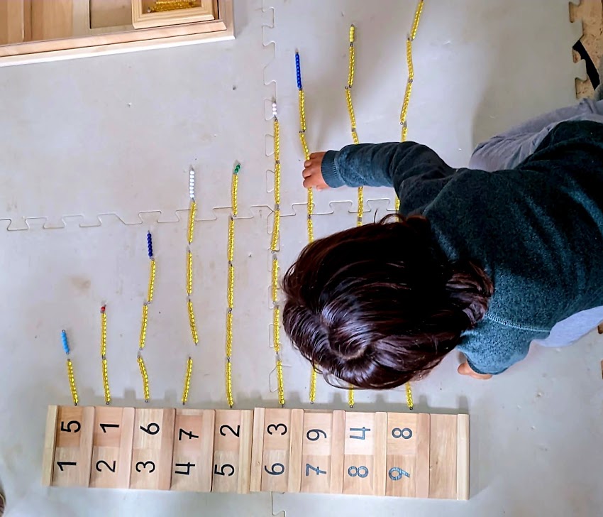 Alma Montessori