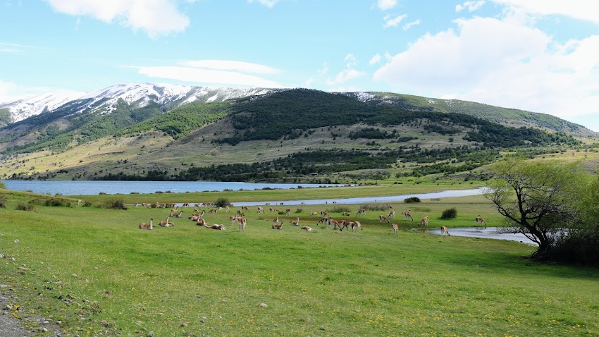 Guardería Laguna Azul