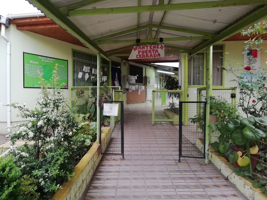 Sala Cuna y Jardin Infantil Despertar