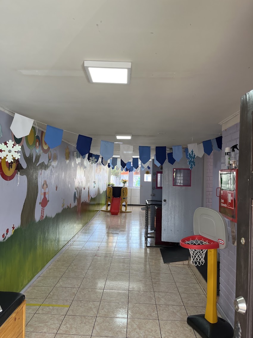 Escuela Alen