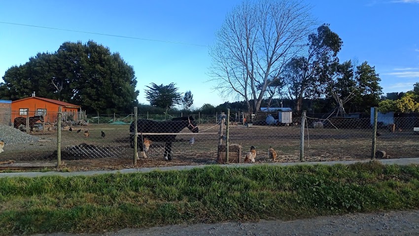 Jardín infantil y sala cuna EL AMANECER