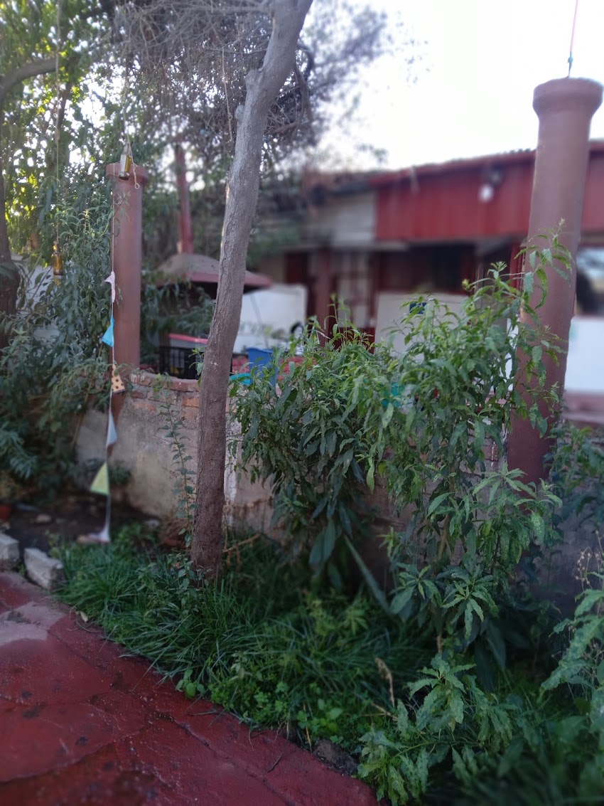 Liceo Puente Alto