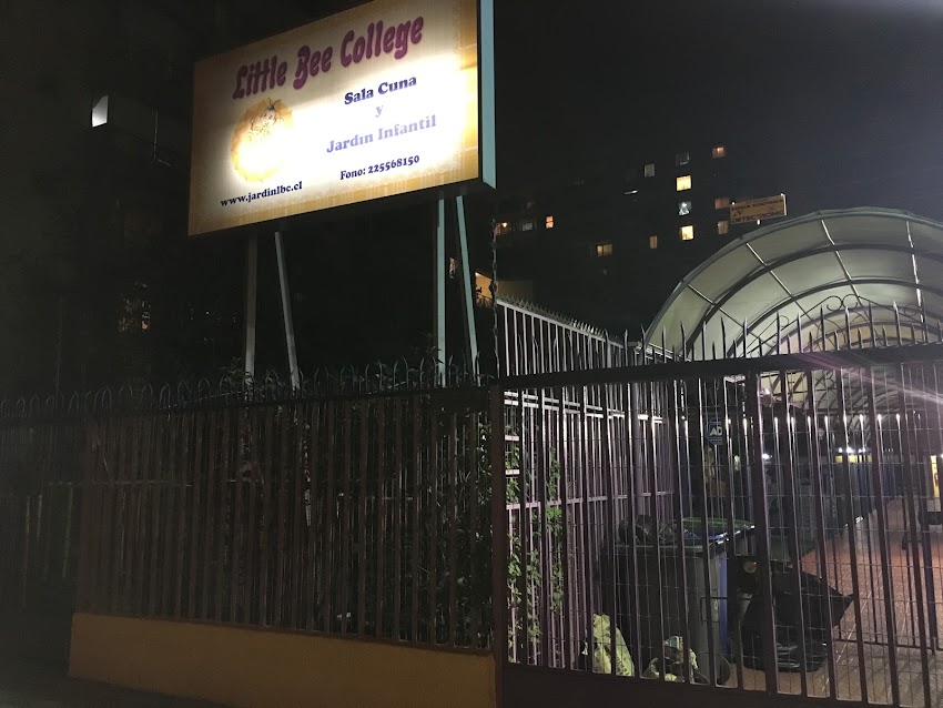 Sala Cuna y Jardin Infantil Little Bee College