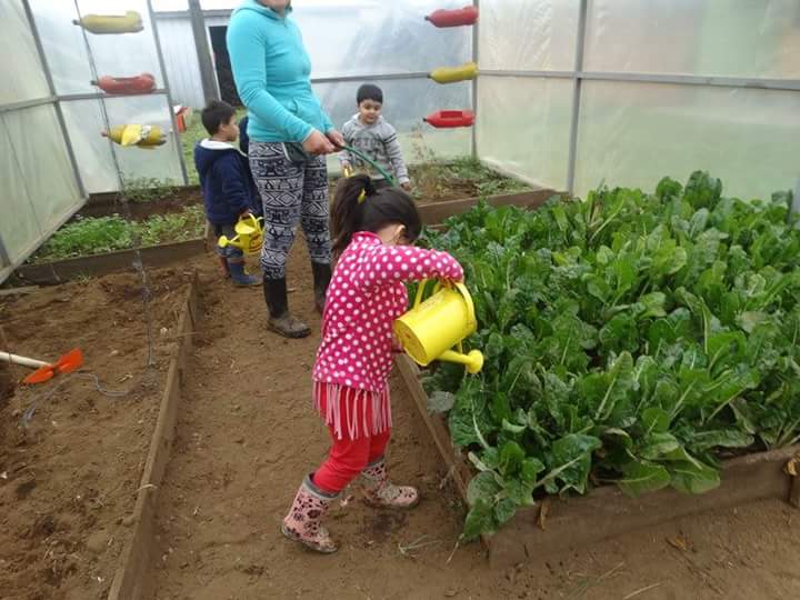 Jardin Infantil Relmu Wepul JUNJI