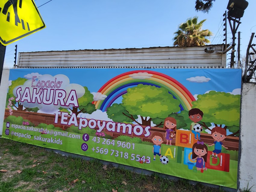 Espacio Infantil Inclusivo Sakura apoyo pedagógico y terapéutico