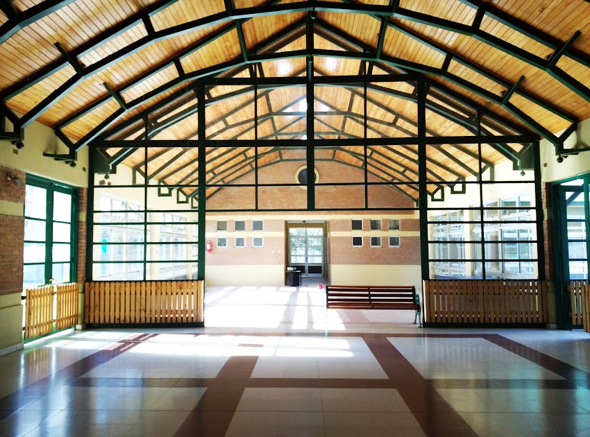 Colegio Pumahue Temuco