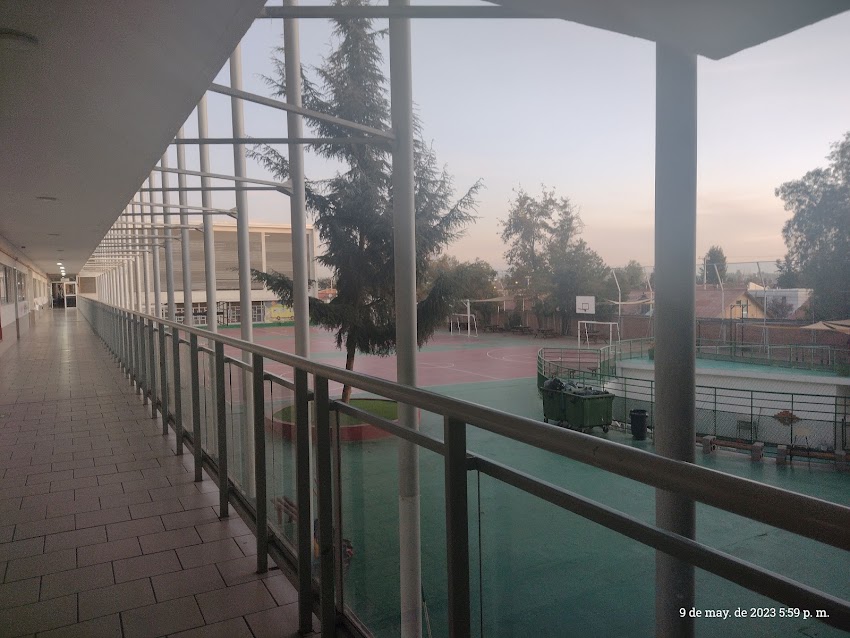 Colegio Alicante de la Florida