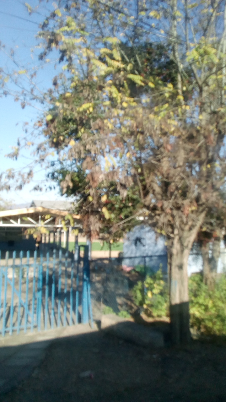 Sala Cuna Jardin Infantil Valle Magico