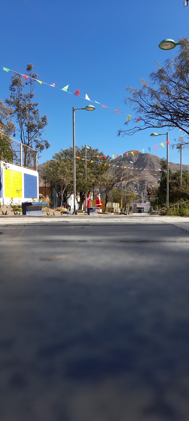 Jardín Infantil