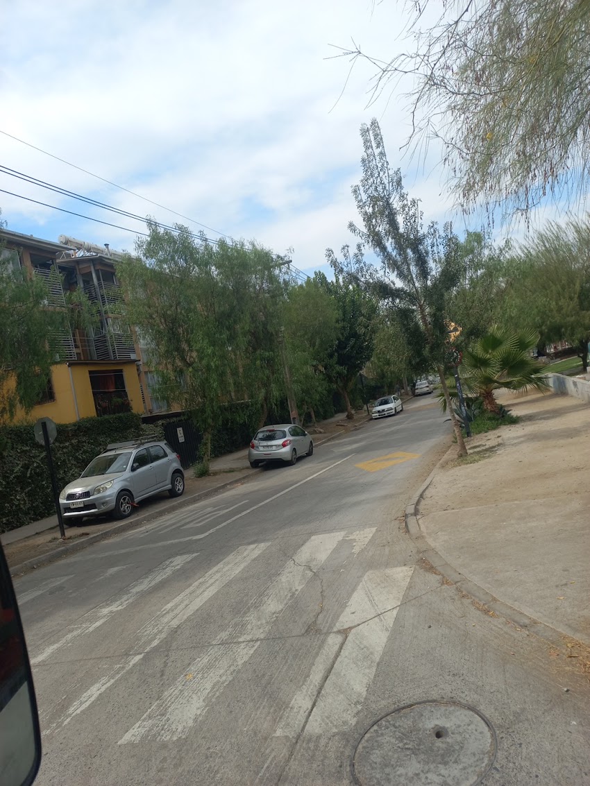 Las Margaritas