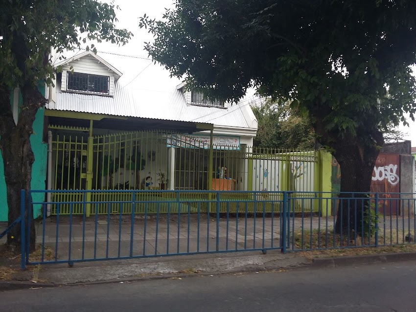 Escuela de Lenguaje Expresiones