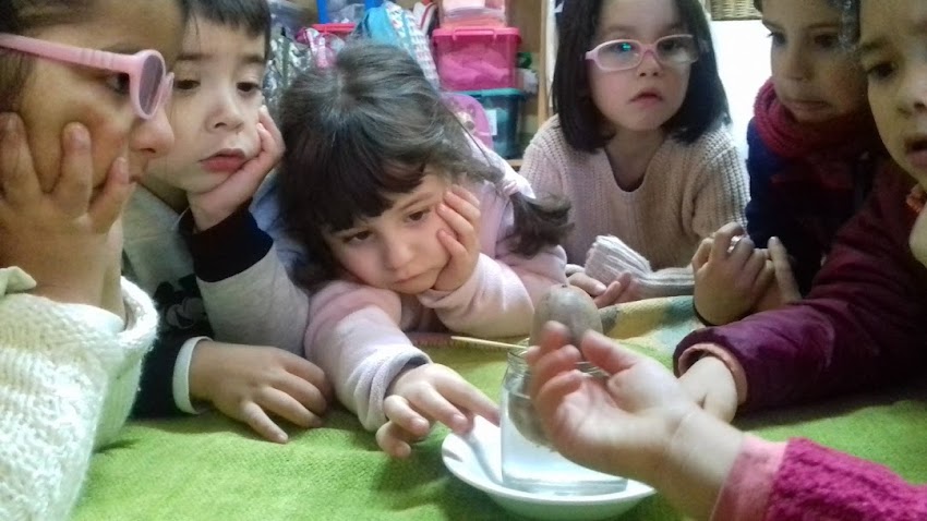 Servicios educacionales Pehuén Ltda.