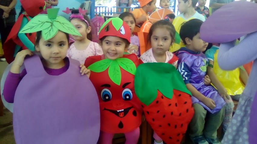 Jardin Infantil Las Araucarias