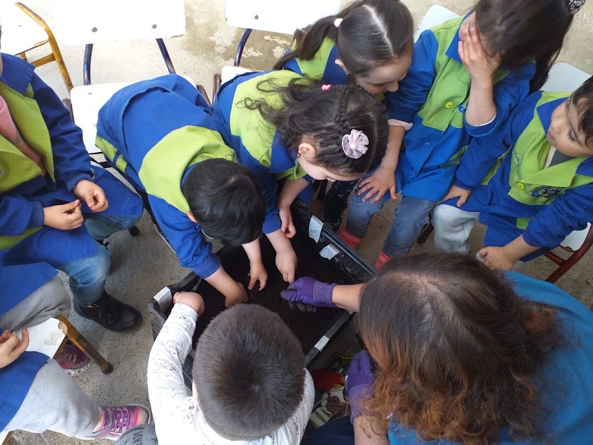 Establecimiento de Enseñanza Preescolar Nahuen (Enseñanza Preescolar) Medio Mayor y Prekinder