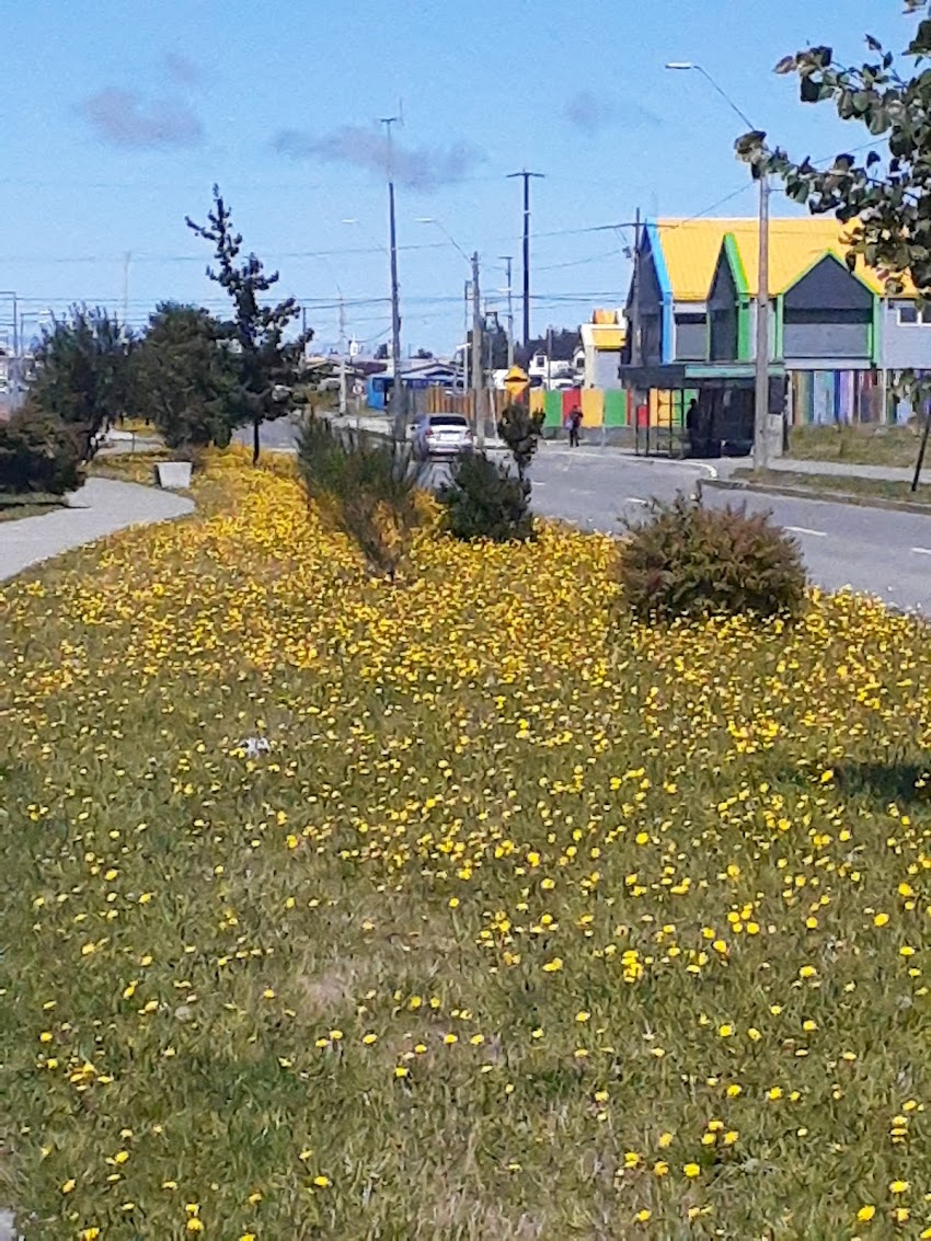 Jardin Infantil Anulen