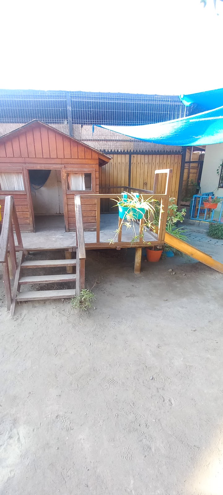 Jardin Infantil Raices