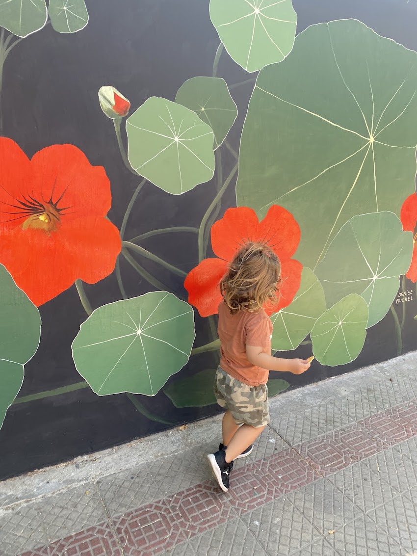 Jardín Infantil la Madriguera