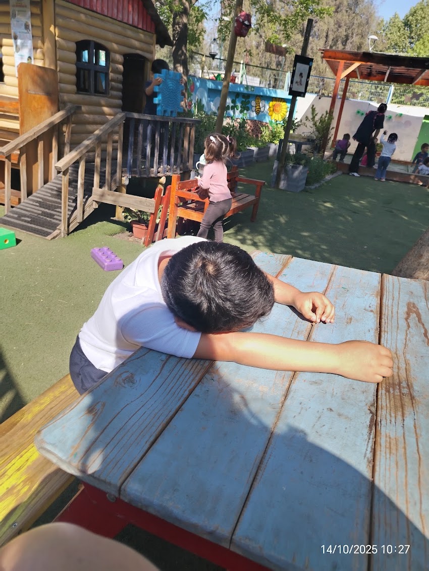 Jardín Infantil Javiera Carrera