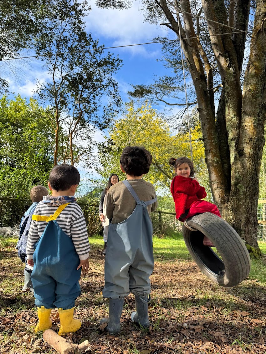 Jardín Infantil Arándano (Sede Norte)