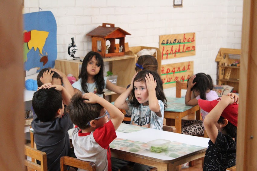 Jardín Infantil Tremün Montessori – Green Garden