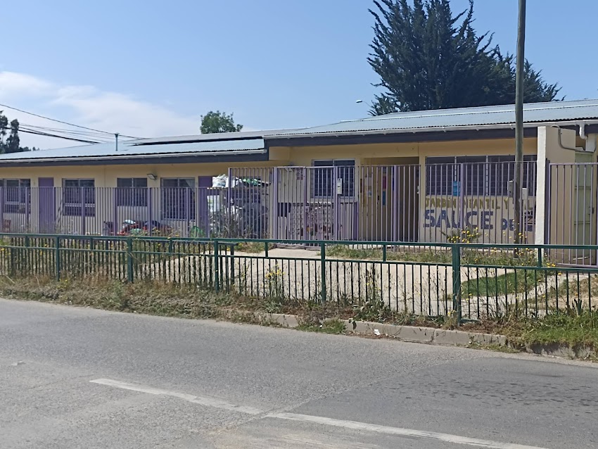 Jardín Infantil Sauce de Luz