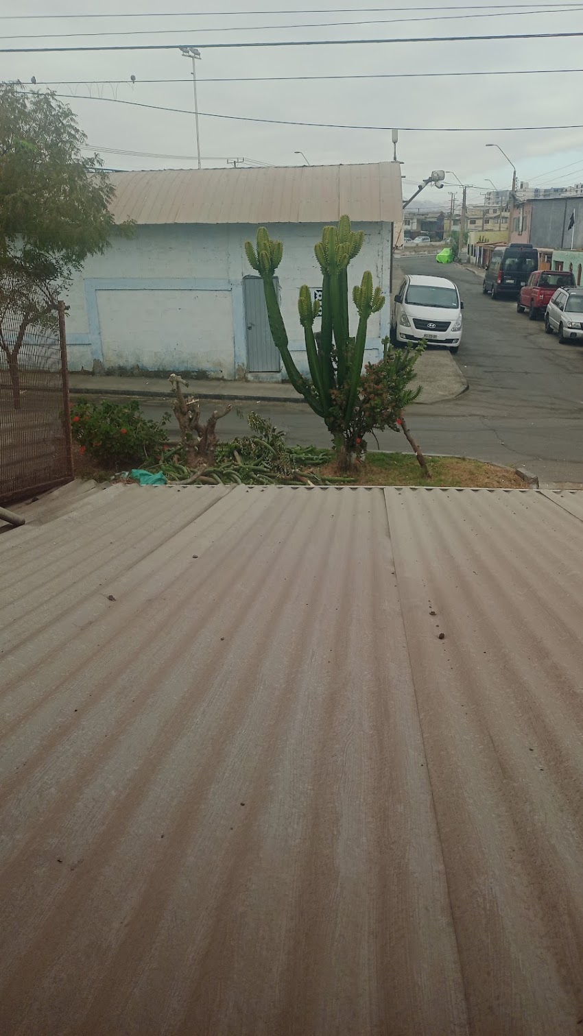 Las Gaviotas