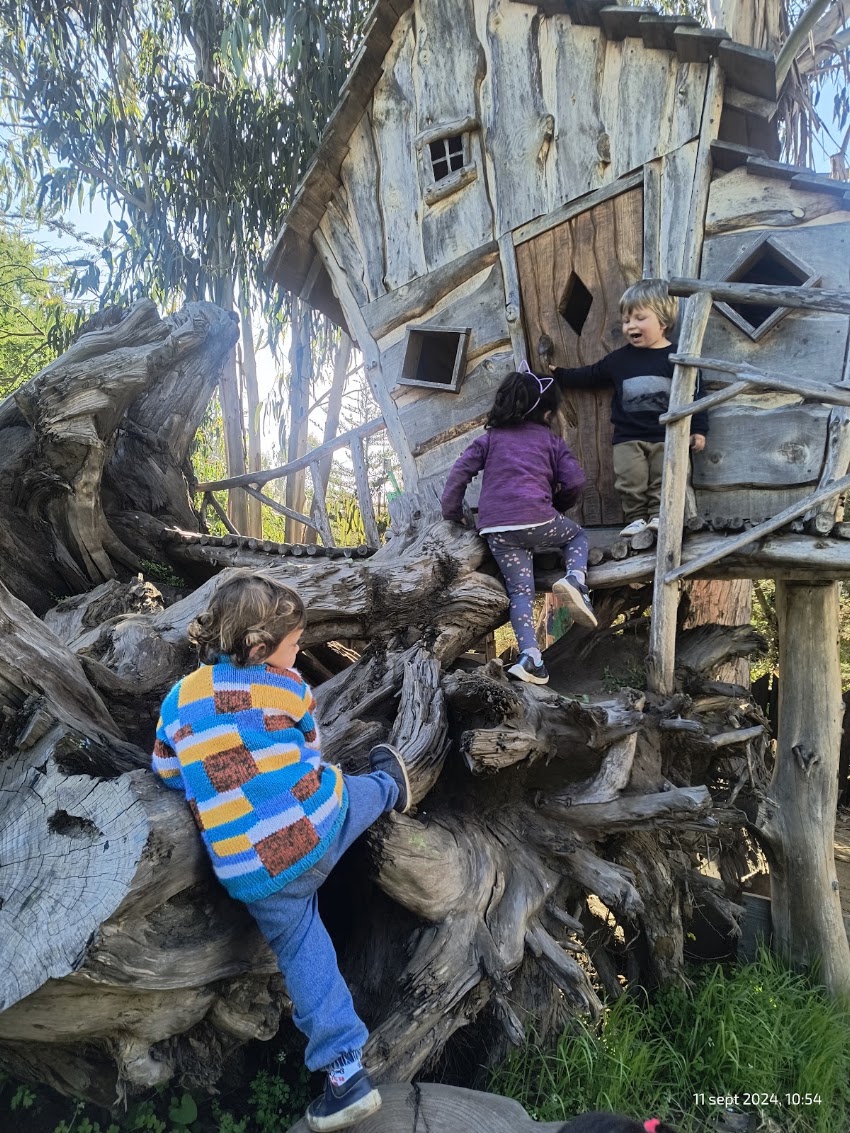 Nido Holistic Nursery