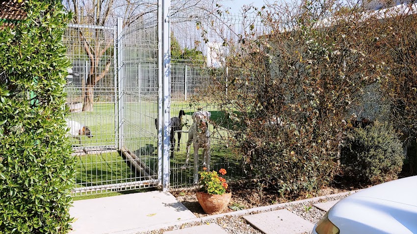 El Patio Guarderia